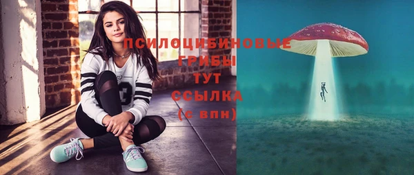трава Краснослободск